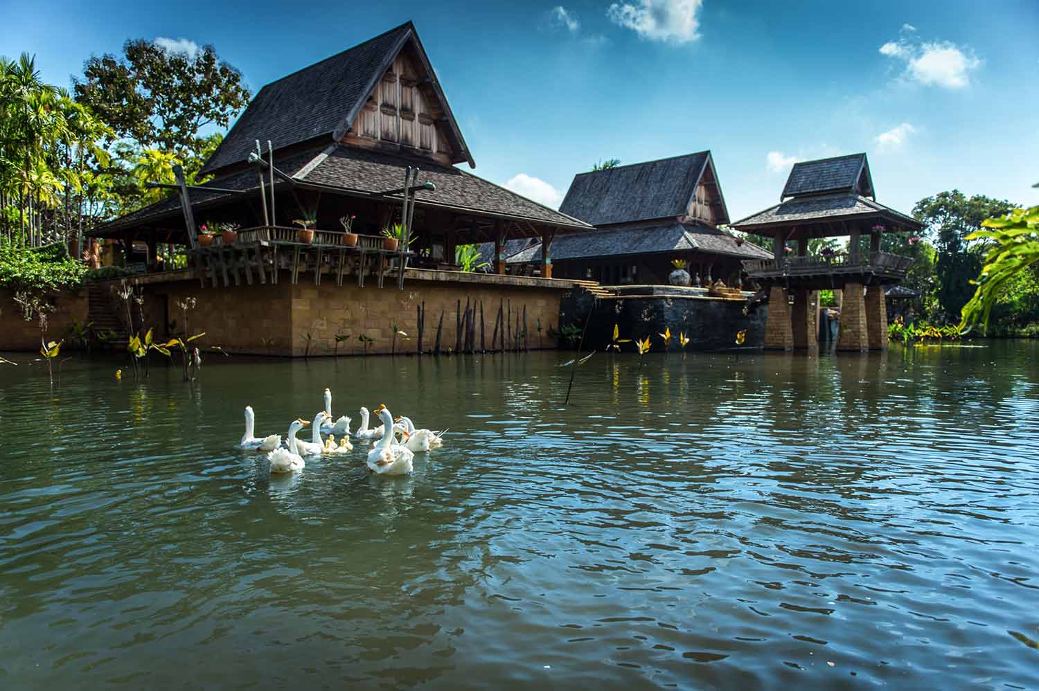 Luxury Spa At A 5 Star Resort In Chiang Mai Thailand Howie’s Homestay