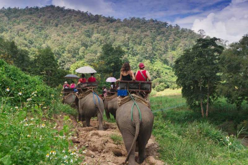 Chiang Mai Safari - Find the best tips with Howie's HomeStay