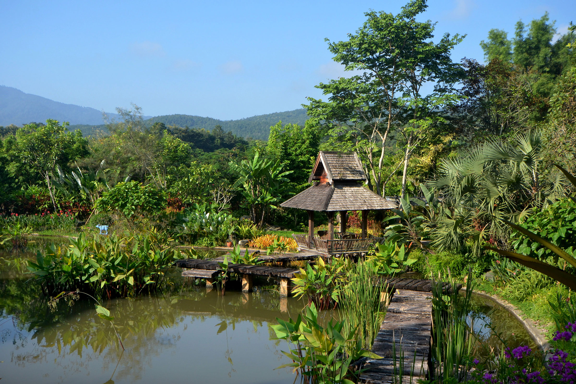 hotel in Chiang Mai Thailand